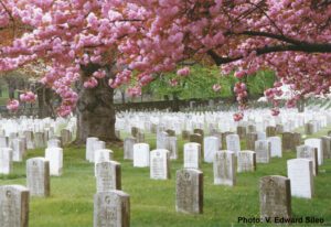 Military Cemetary